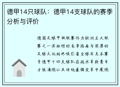 德甲14只球队：德甲14支球队的赛季分析与评价