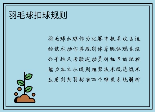 羽毛球扣球规则